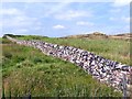 A colourful drystone wall