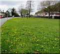 Yellow and green, Cadoxton-juxta-Neath