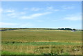 ND1163 : Crop field, Buckies by JThomas