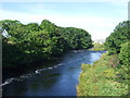 River Thurso, Halkirk