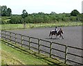 Riding lesson