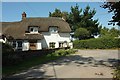 Thatched cottage, Rose Ash