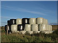 Silage bales on the Eaglesham Moor