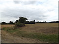 Footpath to The Old Rectory