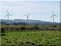 Wind turbines on Croston Moss