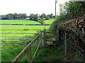 Llwybr Bryngwyn / Bryngwyn Path