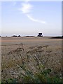 Farmland, Detling Hill