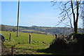 View towards the Tamar Valley