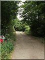 TL9875 : Wood Lane Byway to Dunhill Lane by Geographer