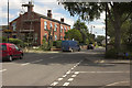 Pollarded Tree, Main Street