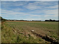 Field at Denfind, Monikie