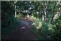 Penistone Rail Trail near the Fleets, Barnsley