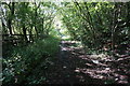 Penistone Rail Trail towards Dodworth