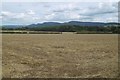 Harvested field off Black Horse Lane