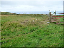 SC2378 : Old field boundary, strengthened with posts and wire by Christine Johnstone