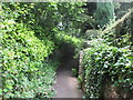 Footpath to the church, Litton Cheney