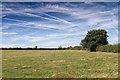 Footpath through fields near Crabtree Farm