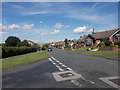 Sandgate Drive - viewed from Moorgate Drive