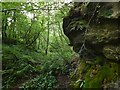 Rock face in Garrawy Glen