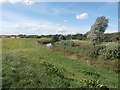 SE4900 : The River Dearne at Mexborough Low Pastures by Jonathan Clitheroe