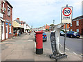 Large Fish in Wardrew Road