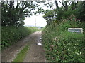 The lane to Treganhoe Farm