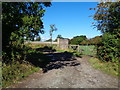 Track to sheds, Purshull Green, Worcestershire