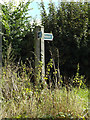 TM0374 : Footpath signs off Briar Lane by Geographer