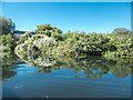 River Lea, Ware, Hertfordshire