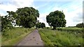 Looking down Holme Lane