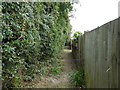 Alleyway behind houses giving garden access