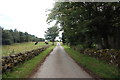 Single-track road with cows...