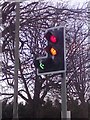 UK Green Filter  Traffic Light Signal  Arrow