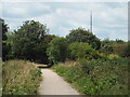 TQ3568 : South Norwood Country Park by Malc McDonald