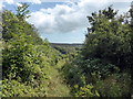 TQ5301 : Path in Lullington Heath National Nature Reserve by PAUL FARMER