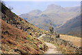 NY3006 : Cumbria Way with Langdale Pikes ahead by Peter Turner