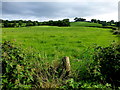 Aghafad Townland