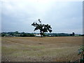 Stubble field off the B5027