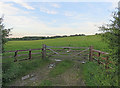 Entrance to field east of Gaulby Road