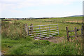 Field Gate at Mountsolie