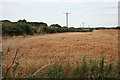 NJ9860 : Field of Barley by Anne Burgess