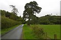 Ruddings Lane, Cowesby