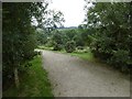 Path off Parkmanor Avenue