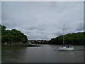 Stoke Mouth, looking towards Stoke Gabriel