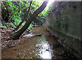 Bushby Brook downstream