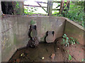 Drainage pipes from flood relief basin into Bushby Brook