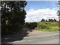 TM0669 : Footpath off the B1113 Walsham Road by Geographer
