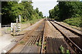 Looking North from England Spring Crossing