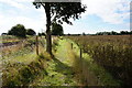 Path leading to Black House Farm, Long Lane