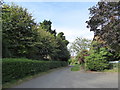 Rush hour in Great Bourton